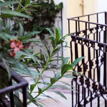 Acelya Bed & Breakfast Ortakent