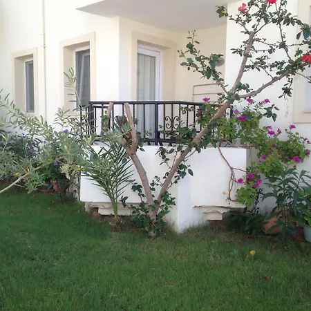 Bed & Breakfast Acelya 3*