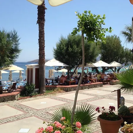 Bed & Breakfast Acelya 3*