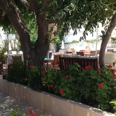 Bed & Breakfast Acelya 3*