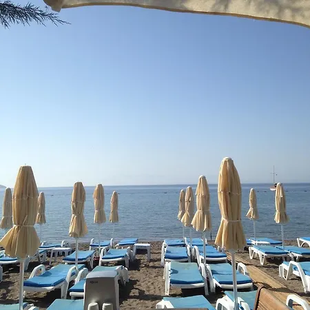 Bed & Breakfast Acelya 3*